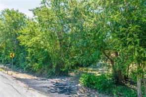 TBD FARM ROAD 194 - Photo 3