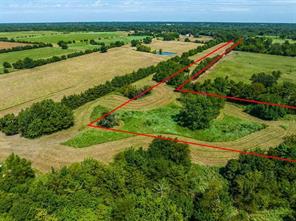 TBD FARM ROAD 194 - Photo 4