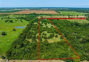TBD FARM ROAD 194 - Photo 6