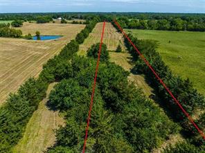 TBD FARM ROAD 194 - Photo 7