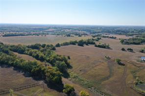 3868 County Road 494 - Photo 6