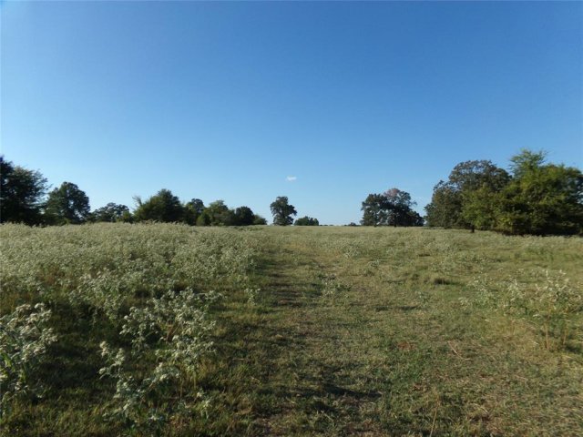 1753 FM 194
