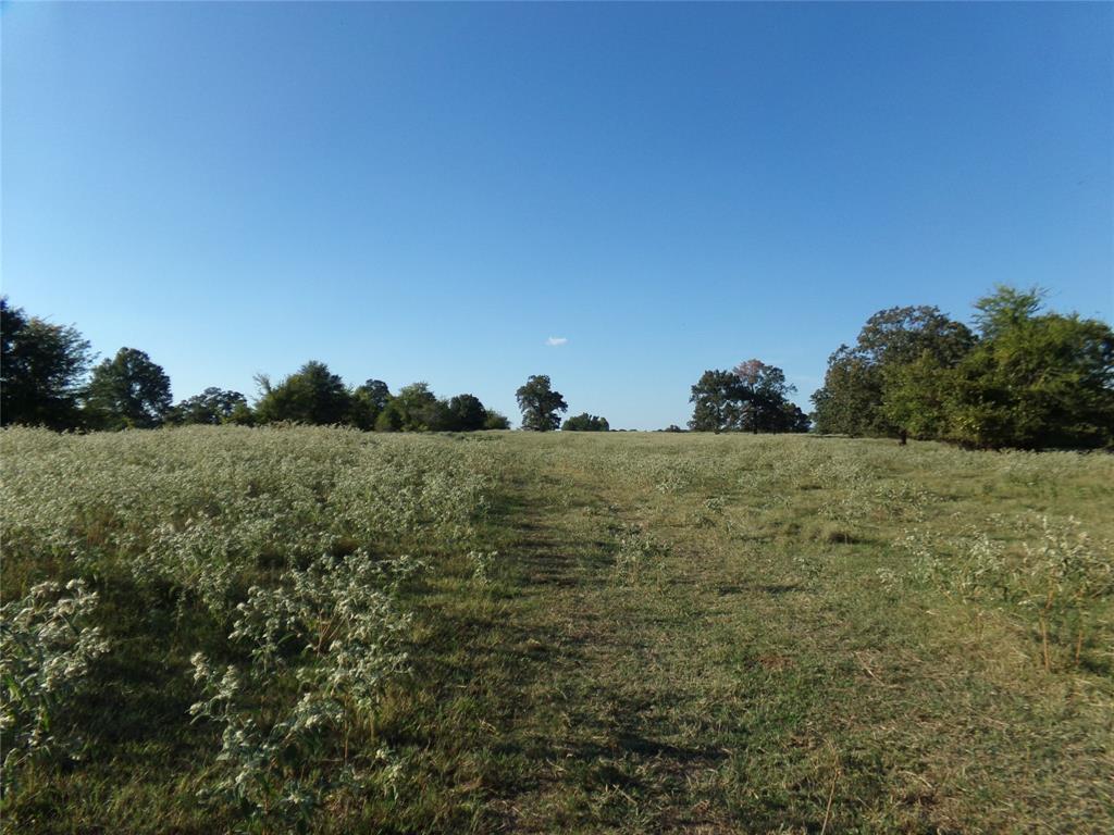 1753 FM 194 - Photo 1