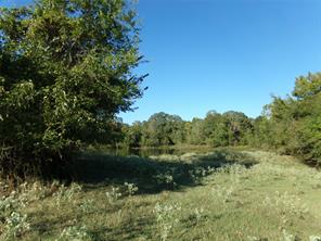 1753 FM 194 - Photo 14