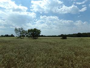 1753 FM 194 - Photo 19