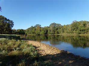 1753 FM 194 - Photo 3