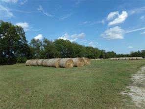 1753 FM 194 - Photo 4