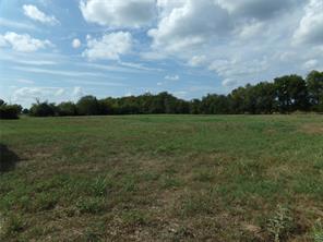 1753 FM 194 - Photo 9