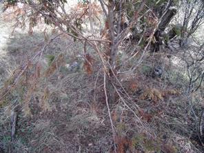 Unknow CR 310 - Photo 27