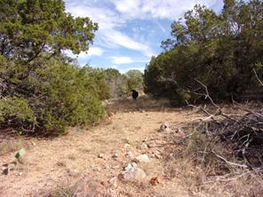 Unknow CR 310 - Photo 28