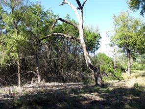 TBD PR 42112 - Photo 31