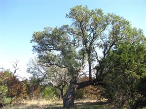 TBD PR 42112 - Photo 4