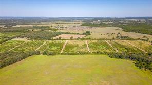 TBD4 County Road 1242 - Photo 10