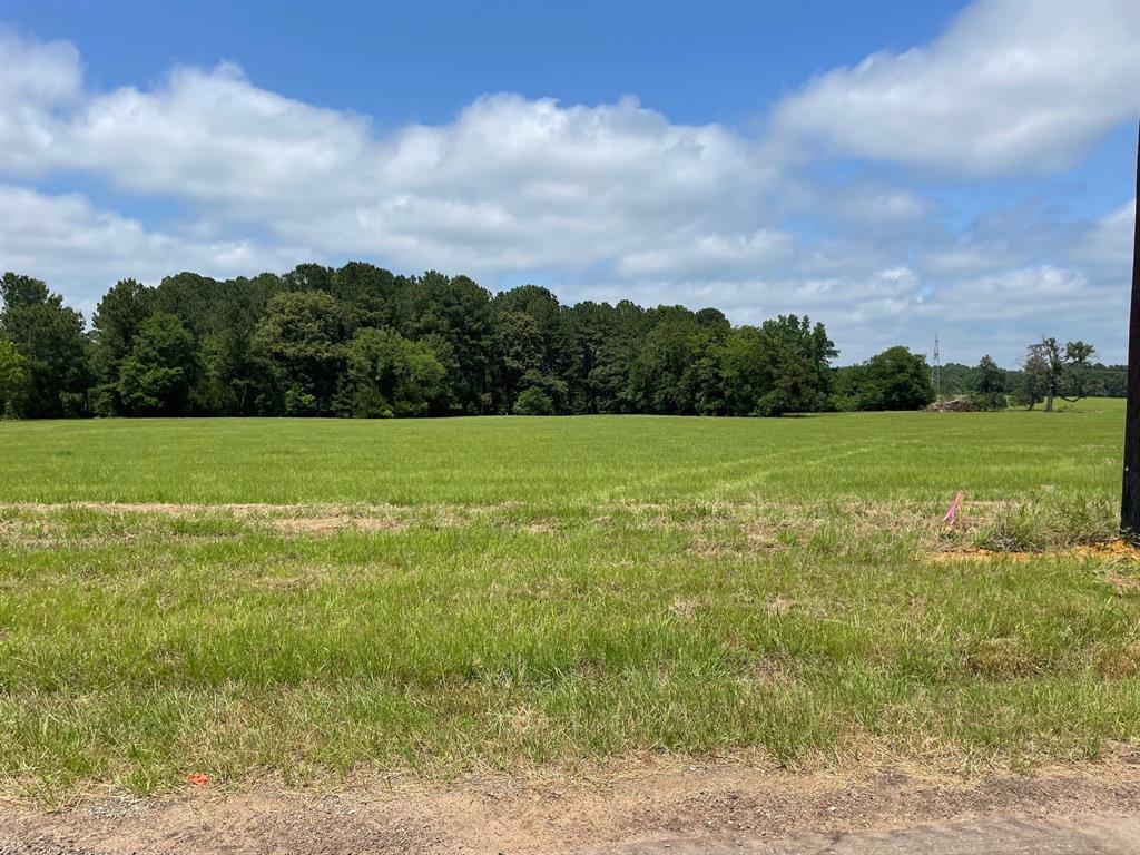 20333 County Road 4126 - Photo 1
