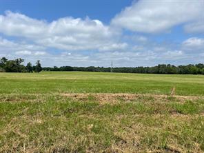 20333 County Road 4126 - Photo 2