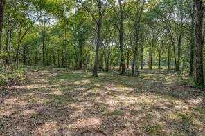 6650 State Hwy 56 Highway - Photo 5