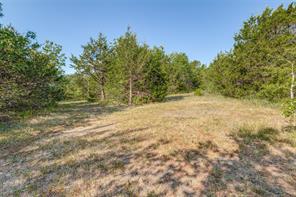 6650 State Hwy 56 Highway - Photo 8