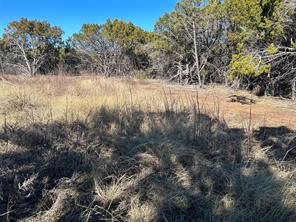 330 Fort Graham Road - Photo 5