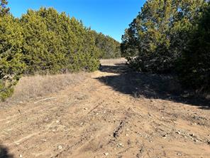 330 Fort Graham Road - Photo 7