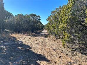 330 Fort Graham Road - Photo 9