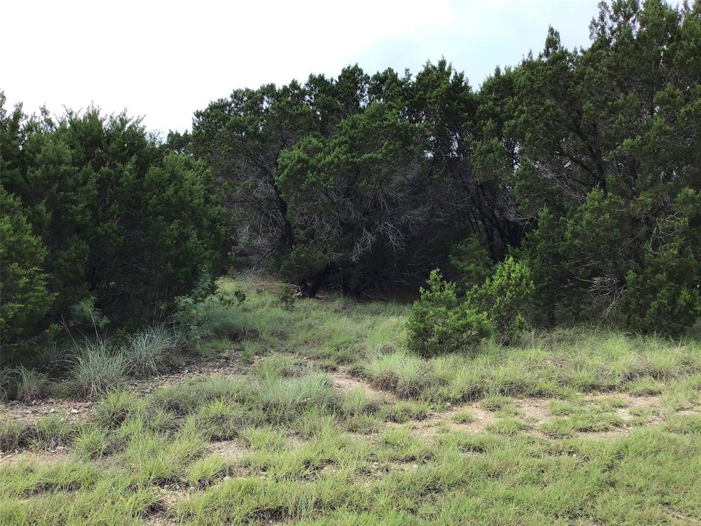 43020 Whisperwood Drive - Photo 1