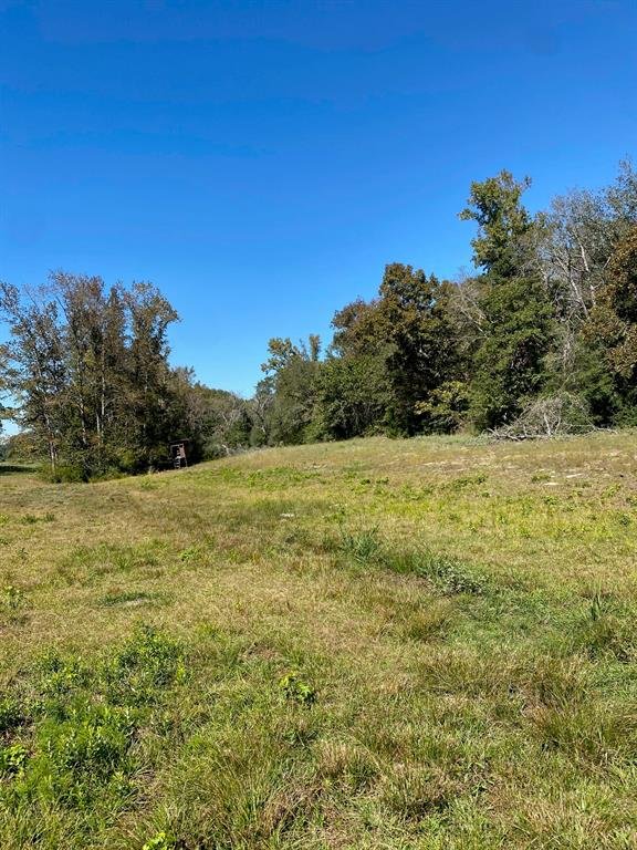 TBD 008 County Rd 242