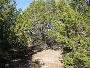 Lot 3 Ph 6 County Road 421 - Photo 18