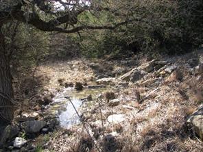 Lot 3 Ph 6 County Road 421 - Photo 2