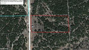 Lot 3 Ph 6 County Road 421 - Photo 26