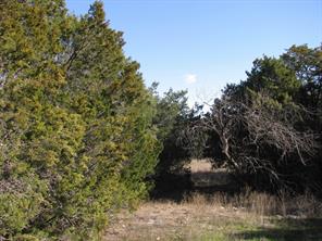 Lot 3 Ph 6 County Road 421 - Photo 4