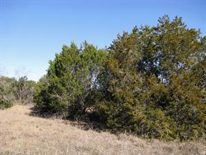 Lot 3 Ph 6 County Road 421 - Photo 9