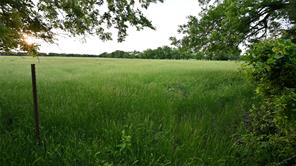 TBD FM 1752 Road - Photo 10