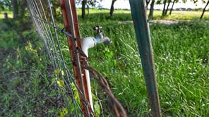 TBD FM 1752 Road - Photo 11