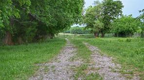TBD FM 1752 Road - Photo 12