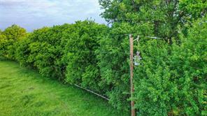 TBD FM 1752 Road - Photo 4