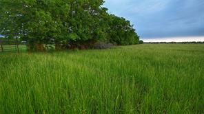 TBD FM 1752 Road - Photo 6