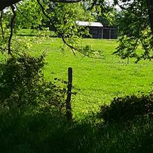 TBD FM 1752 Road - Photo 9