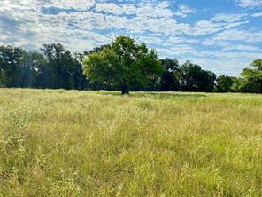 TBD VZ County Road 2506 - Photo 12