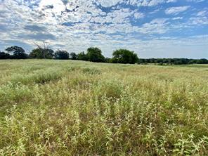 TBD VZ County Road 2506 - Photo 13