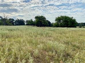 TBD VZ County Road 2506 - Photo 14