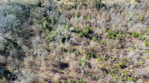 5.032 Acres CR 3308 - Photo 23