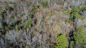 5.032 Acres CR 3308 - Photo 25