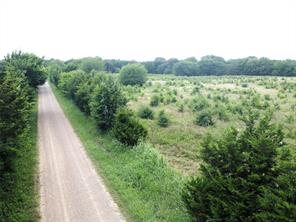 Lot 6 CR 1400 - Photo 10
