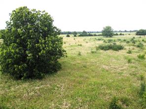 Lot 6 CR 1400 - Photo 12