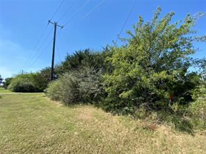 95 Farm Road 69 Highway - Photo 12