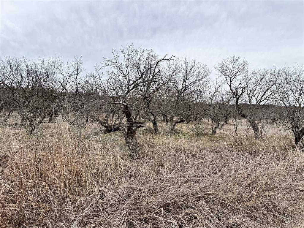 349 Oak Point Drive - Photo 11