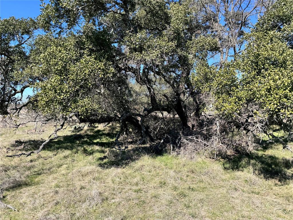 114 Oak Meadow Drive - Photo 12