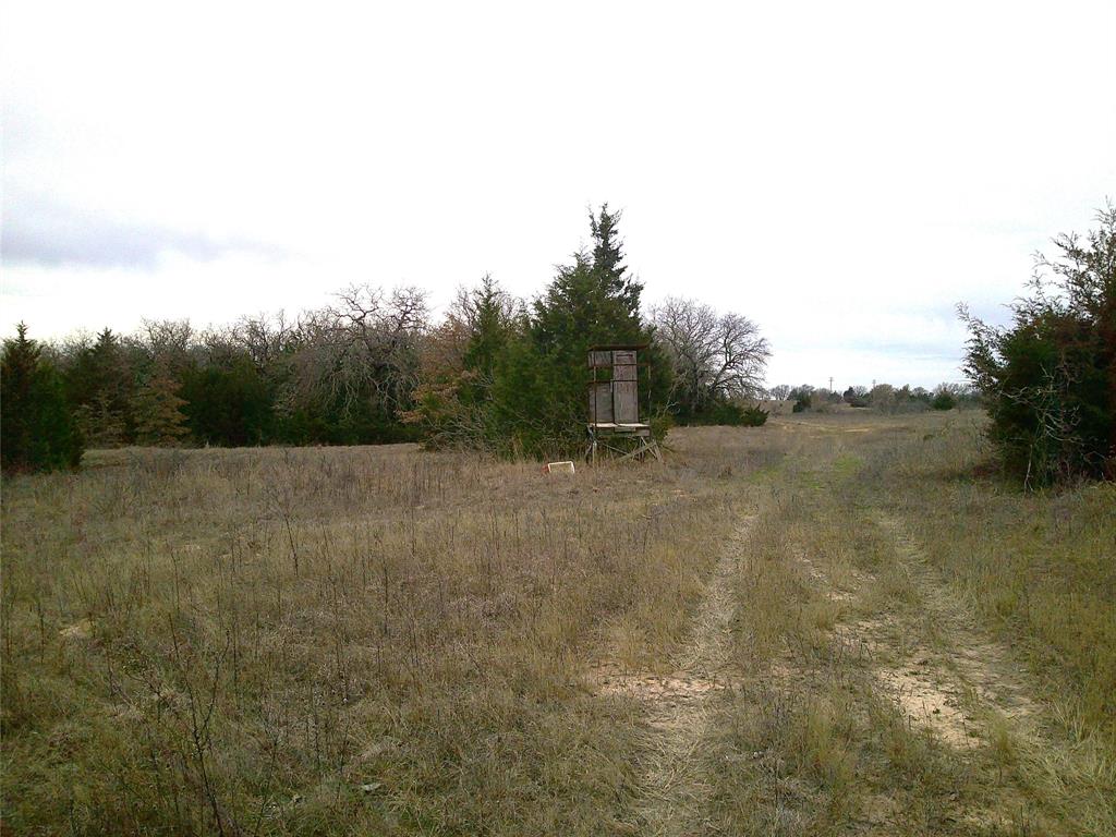 Tr 1 State Hwy 59 - Photo 1