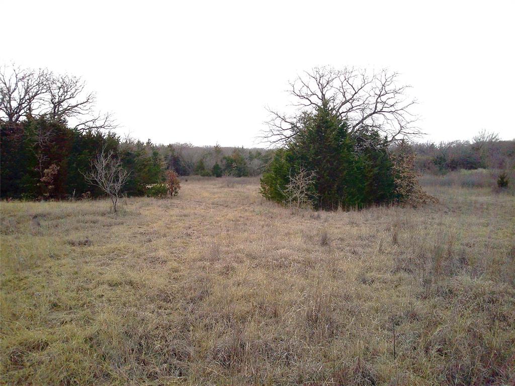Tr 1 State Hwy 59 - Photo 2