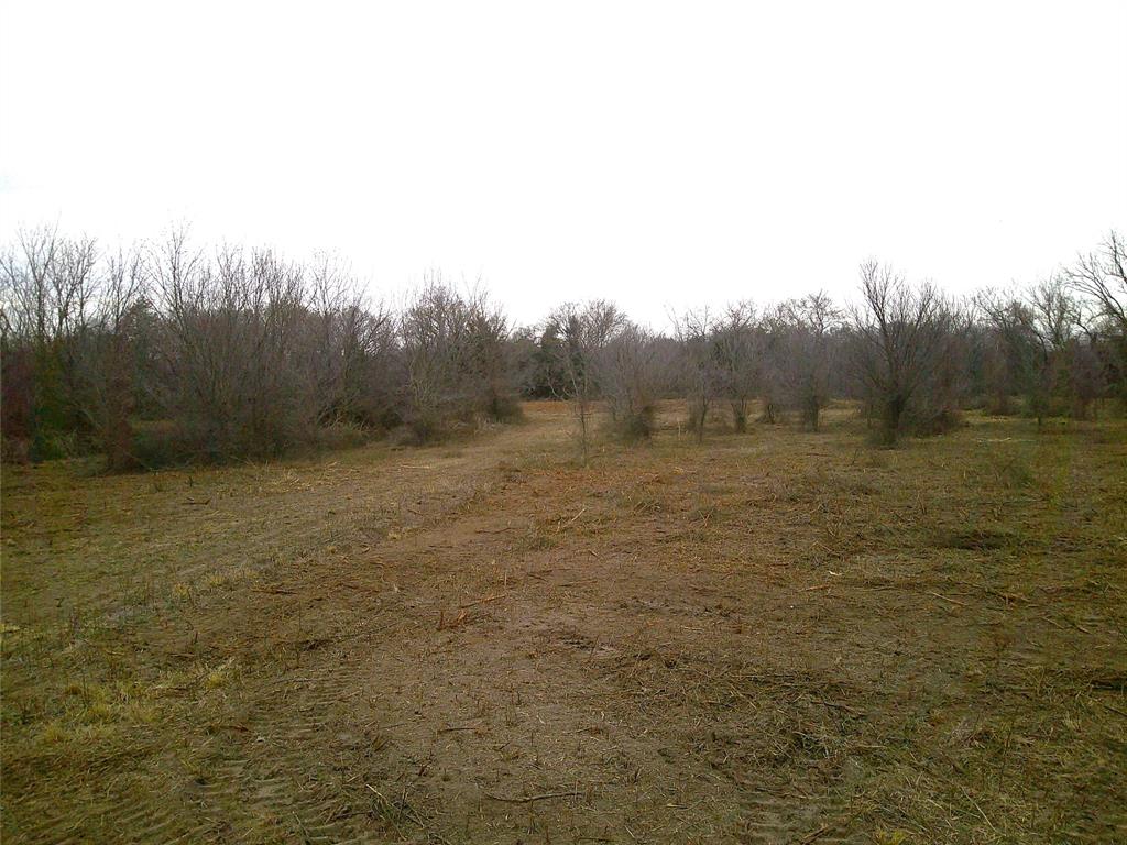 Tr 1 State Hwy 59 - Photo 4